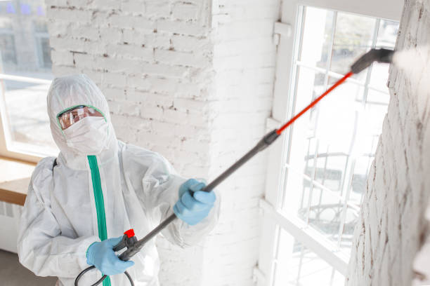 Best Commercial Mold Inspection  in Roseland, FL