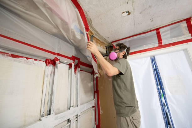 Best Mold Removal for HVAC Installations  in Roseland, FL