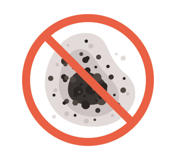 Best Mold Prevention Services  in Roseland, FL