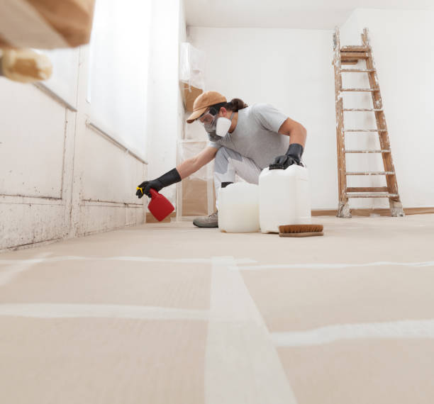 Best Post-Construction Mold Inspection  in Roseland, FL