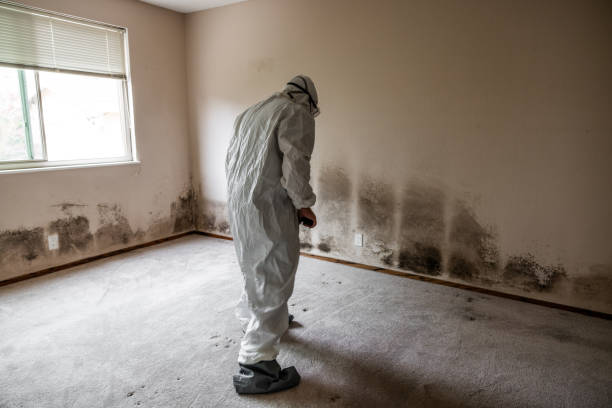 Best Biohazard Mold Removal  in Roseland, FL